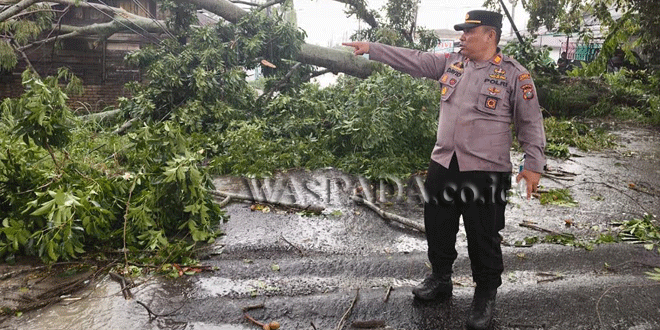 Pohon tumbang di pinggir jalan menimpa rumah warga di Siantar Marihat