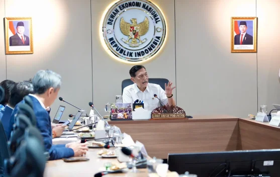 Ketua DEN Luhut Binsar Pandjaitan mendorong reformasi pasar modal dan penguatan pengawasan sektor keuangan