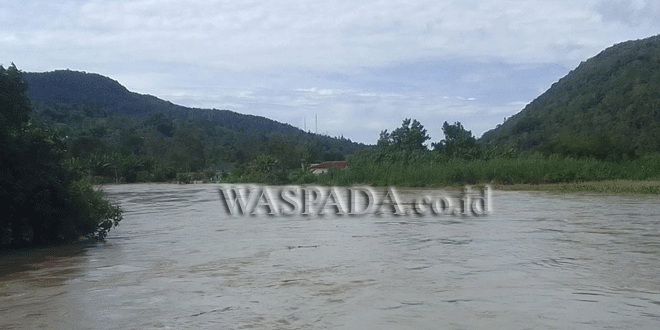 Banjir merendam rumah dan lahan jagung di Desa Hutapea Banuarea, Tarutung