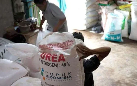 Ilustrasi pupuk subsidi dan upaya pembongkaran mafia pupuk di Indonesia