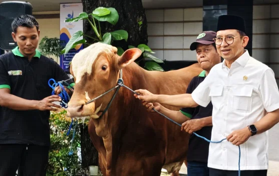 Ilustrasi persiapan pemotongan dan pembagian daging kurban Kementerian Kebudayaan