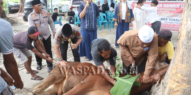 Petugas Polres Simalungun menyerahkan hewan kurban secara simbolis kepada perwakilan masyarakat