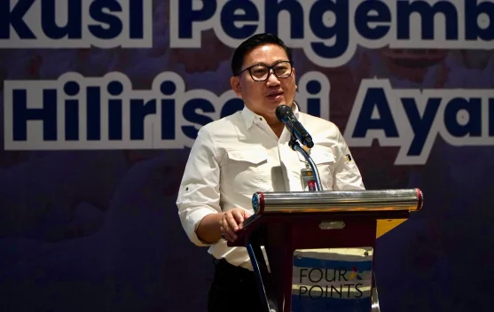 Ayam peternakan dan lahan jagung di Bone sebagai basis hilirisasi ayam terintegrasi