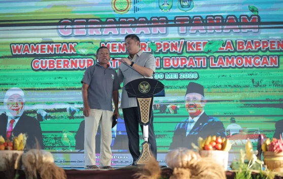 Wamen Pertanian meninjau gerakan tanam padi di Lamongan; stok beras nasional 28 juta ton