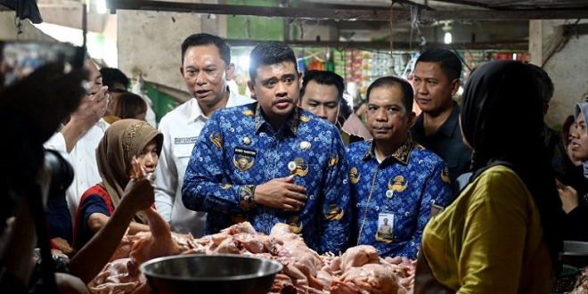 Gudang Bulog dengan tangki dan stok Minyakita di Sumatera Utara