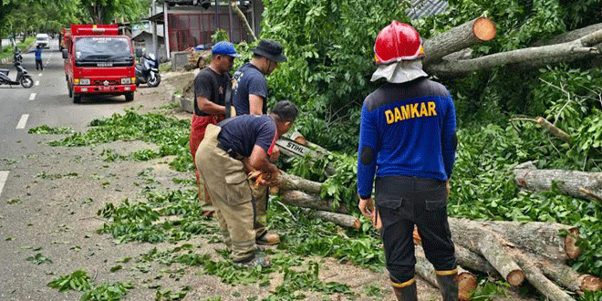 Pohon tumbang di jalan akibat hujan dan angin di Aceh Besar