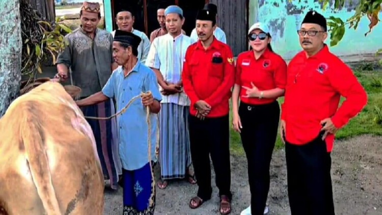 Dua sapi kurban diserahkan DPC PDI Perjuangan Kabupaten Madiun kepada pengurus masjid setempat