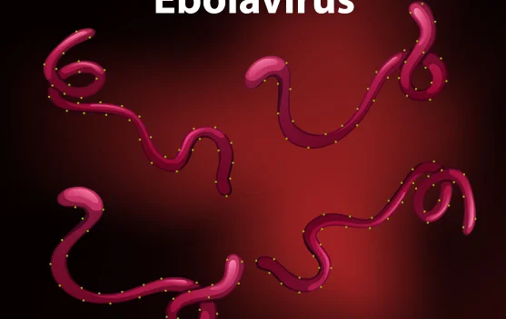 Ilustrasi pemeriksaan skrining di bandara dan representasi virus Ebola