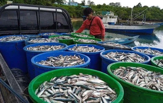 Nelayan dan fasilitas pendingin untuk menyimpan hasil tangkapan ikan