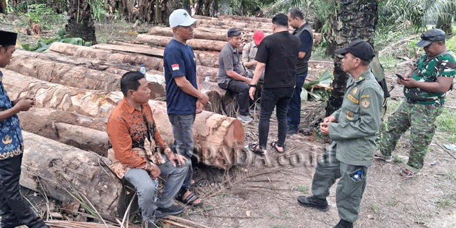 Tumpukan kayu gelondongan di kebun sawit Desa Sei Kamah Baru, Asahan