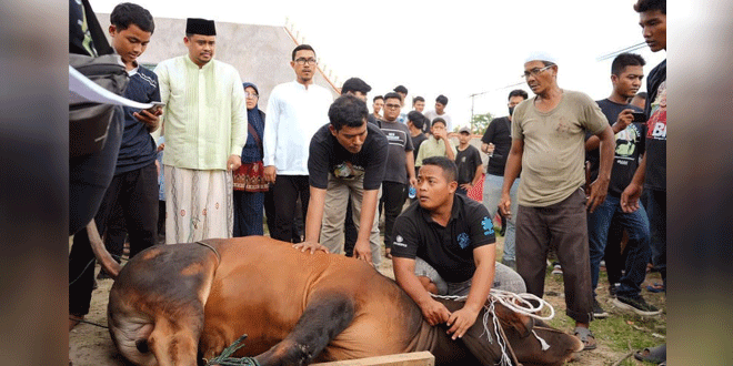 Penyaluran daging kurban di Sumatera Utara untuk Idul Adha 2026