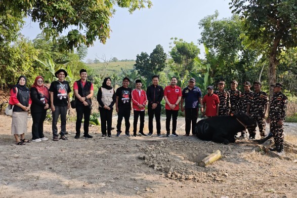 Proses penyembelihan sapi kurban dan pembagian daging di Masjid Al Falah Ngawi