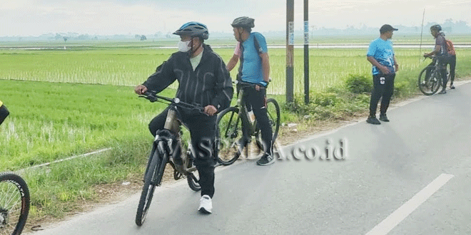 Bupati Sergai meninjau demplot padi PM-AAS yang hijau dan subur di Perbaungan