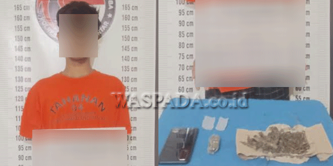 Petugas Polres Siantar mengamankan ganja di Siantar Martoba