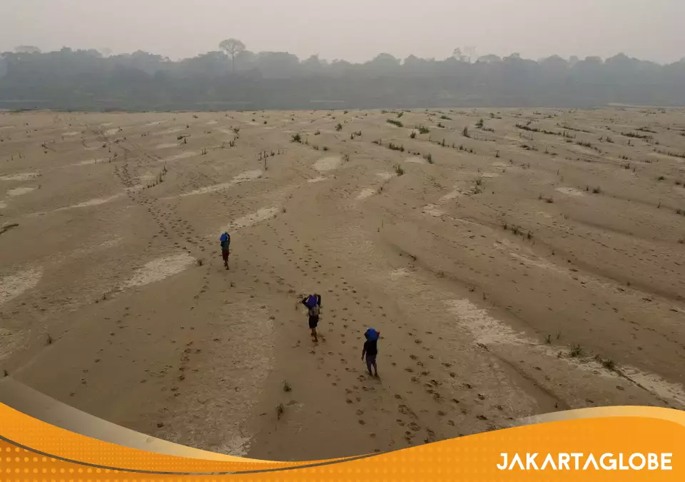 Ilustrasi gelombang panas dan kebakaran hutan akibat pemanasan global