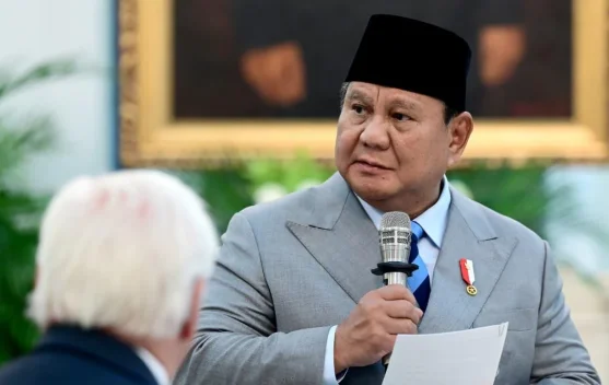 Presiden Prabowo menerima kunjungan Presiden Jerman Frank-Walter Steinmeier di Istana Negara Jakarta