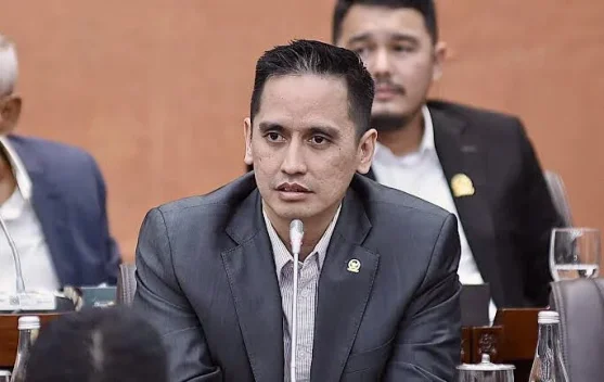 Anggota DPR Firnando Ganinduto dukung operasional PT DSI untuk tata kelola ekspor SDA