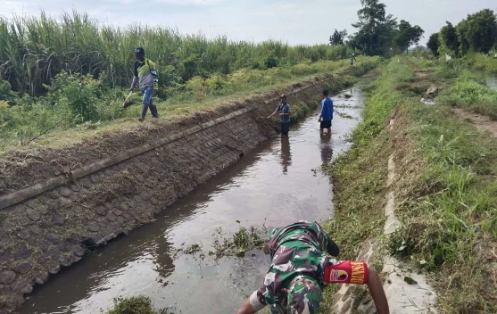 Pembangunan irigasi dan distribusi pupuk untuk antisipasi kekeringan El Nino