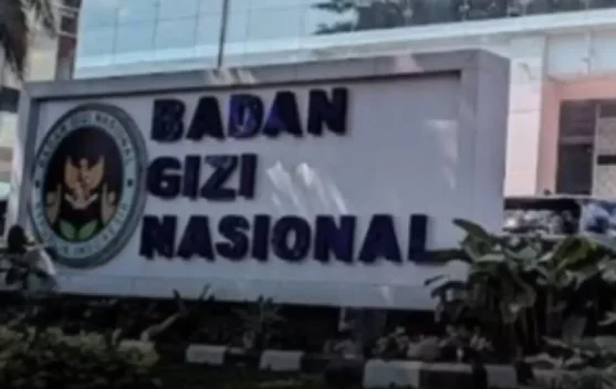 Ilustrasi reformasi tata kelola Badan Gizi Nasional dan Program Makan Bergizi Gratis