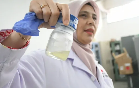 Reaktor pirolisis untuk mengolah tandan kosong kelapa sawit menjadi minyak biomassa