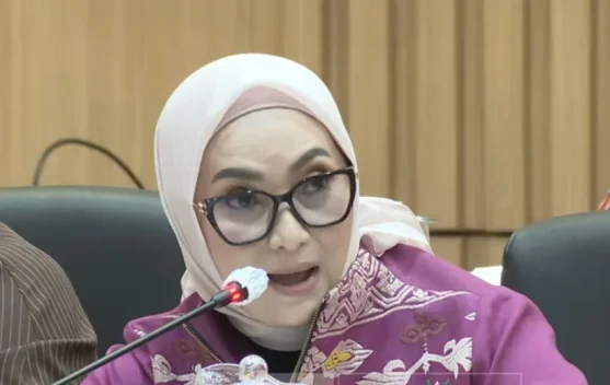 Lucy Kurniasari berbicara dalam rapat kerja soal penyuluh KB di Kompleks Parlemen Senayan