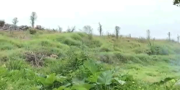 Pemeriksaan pejabat Kebun Sei Putih oleh Unit Tipikor Satreskrim Polresta Deliserdang