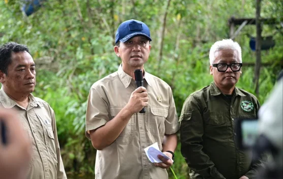 Kawasan konservasi Samboja Lestari yang direstorasi menjadi hutan di Kutai Kartanegara