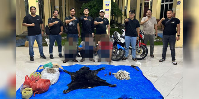 Barang bukti sisik trenggiling, kulit beruang madu, dan rangka satwa yang disita Polres Simalungun