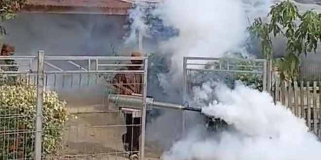 Petugas kesehatan melakukan fogging di desa Julok, Aceh Timur untuk cegah DBD