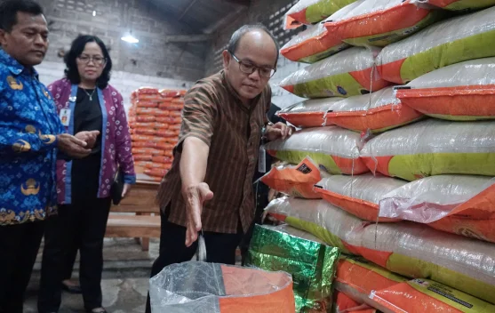 Ilustrasi gabah dan karung beras sebagai simbol usulan program Beras Kita Premium oleh Bulog
