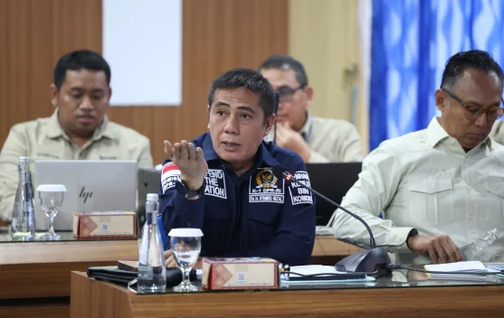 Ilustrasi radar dan pesawat patroli di langit Indonesia Timur