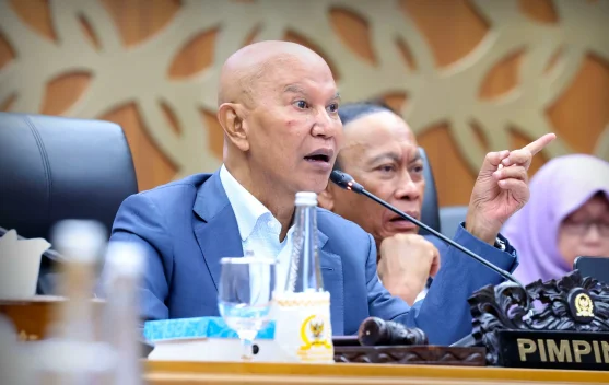 Ilustrasi rapat DPR dan koperasi desa Merah Putih terkait anggaran dan risiko