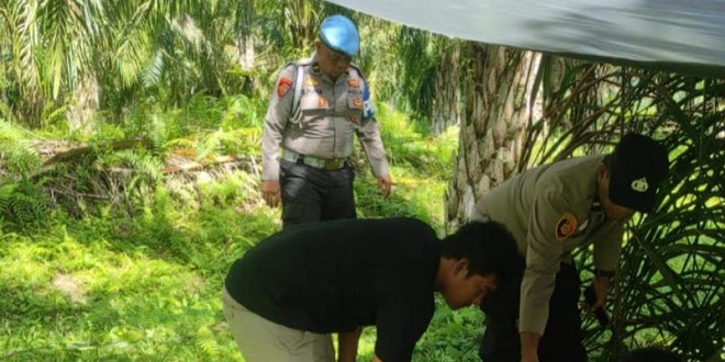 Petugas dan warga membongkar serta membakar gubuk dugaan tempat narkoba di Suka Ramai