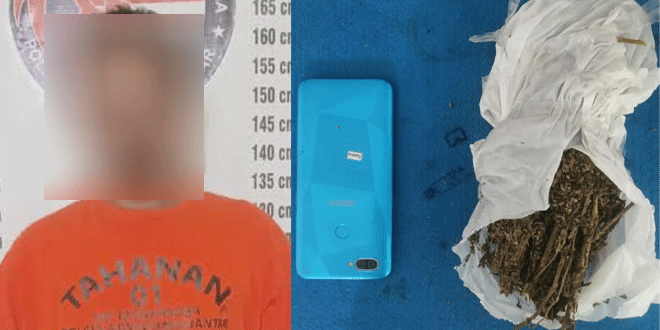 Penangkapan pelaku narkotika dan barang bukti ganja di Pematangsiantar
