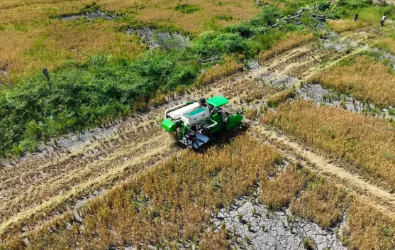 Petani Papua mengelola sawah dengan bantuan mesin pertanian dan irigasi