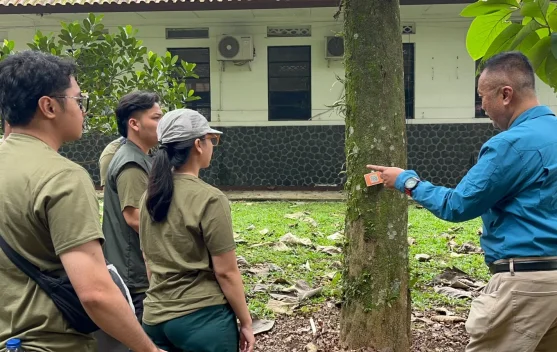 Petani dan pohon gaharu di kawasan hutan sebagai potensi ekonomi lokal