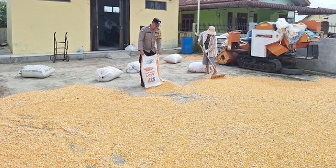 Polisi menyambangi petani menjemur jagung di Siantar Marimbun untuk dukung ketahanan pangan