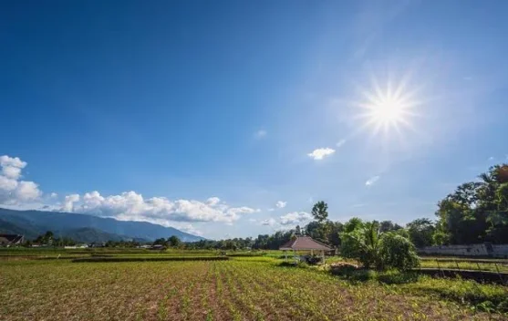 Peta sebaran zona musim kemarau di Indonesia per awal Juni 2026