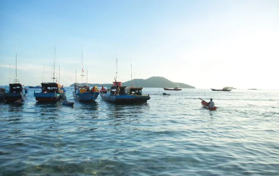 Nelayan dan anggota koperasi berdiskusi di pelabuhan saat meninjau hasil tangkapan