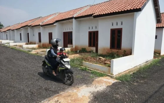 Mitra ojek daring melihat informasi KPR Sejahtera FLPP lewat aplikasi mitra