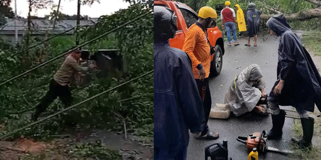 Petugas membersihkan pohon tumbang di Jalan Kasad, Siantar Martoba