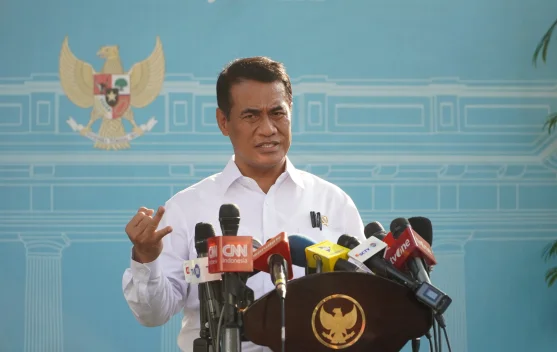 Ilustrasi stok pangan pemerintah di gudang Bulog dan tumpukan beras