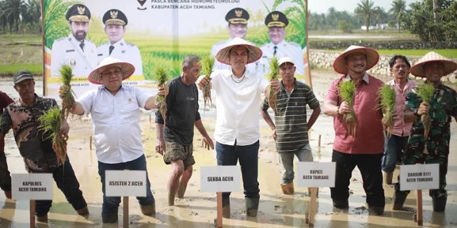 Petani menanam padi perdana di lahan yang dipulihkan pasca bencana di Aceh Tamiang