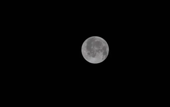Apollo 11 dan Neil Armstrong menginjak permukaan Bulan pada 20 Juli 1969