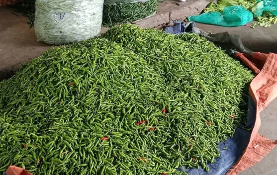 Pedagang menjajakan cabe rawit di Pasar Harian Lae Butar, Aceh Singkil