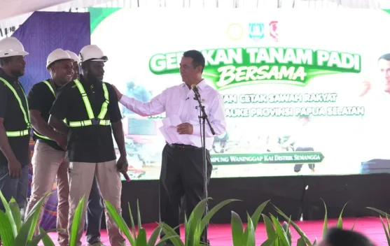 Lahan cetak sawah dan alat pertanian modern di Papua Selatan