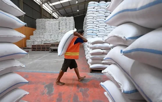 Gudang penyimpanan cadangan pangan nasional di Bulog