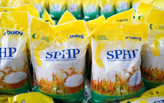 Stok beras Cadangan Pangan Pemerintah lebih dari lima juta ton