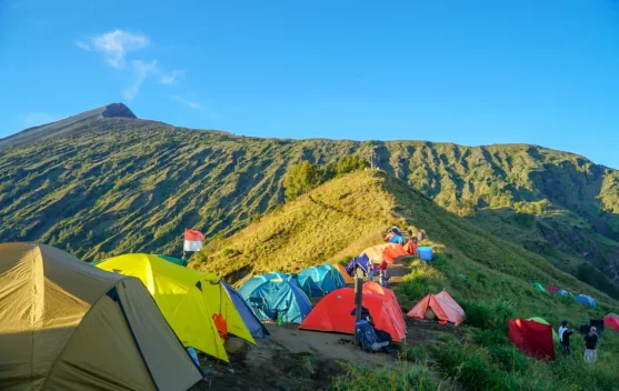Gerbang salah satu taman nasional sebagai simbol pengelolaan wisata dan konservasi