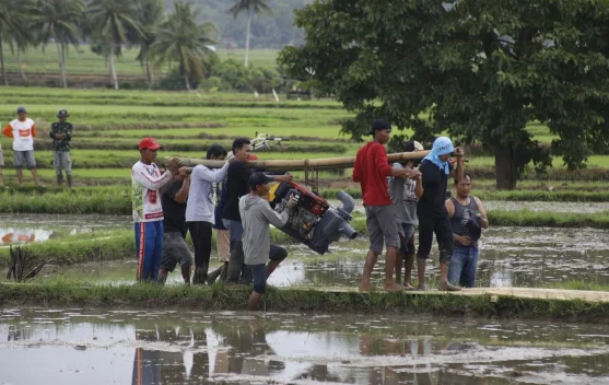Petani dengan pompa air di sawah sebagai upaya mitigasi kekeringan dan menjaga produksi padi